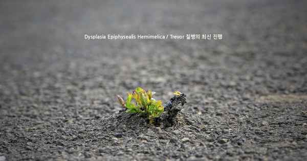 Dysplasia Epiphysealis Hemimelica / Trevor 질병의 최신 진행