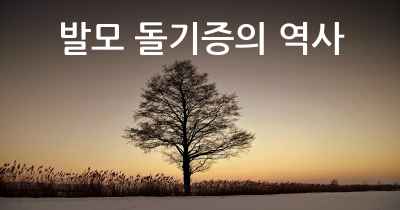 발모 돌기증의 역사