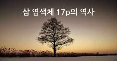 삼 염색체 17p의 역사