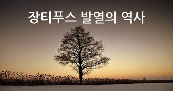 장티푸스 발열의 역사