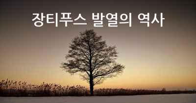 장티푸스 발열의 역사