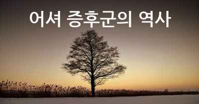 어셔 증후군의 역사