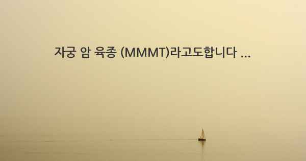 자궁 암 육종 (MMMT)라고도합니다 ...