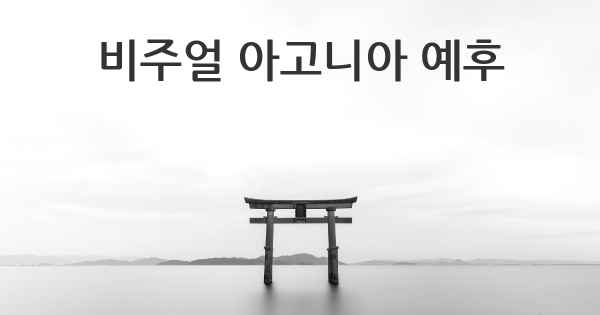 비주얼 아고니아 예후