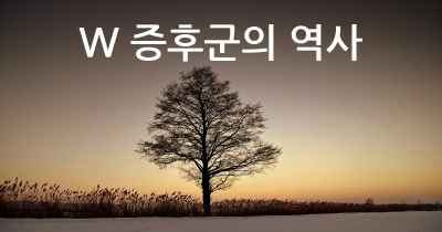 W 증후군의 역사
