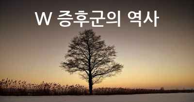 W 증후군의 역사