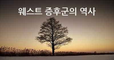 웨스트 증후군의 역사