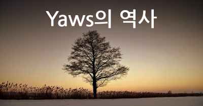 Yaws의 역사