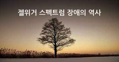 젤위거 스펙트럼 장애의 역사