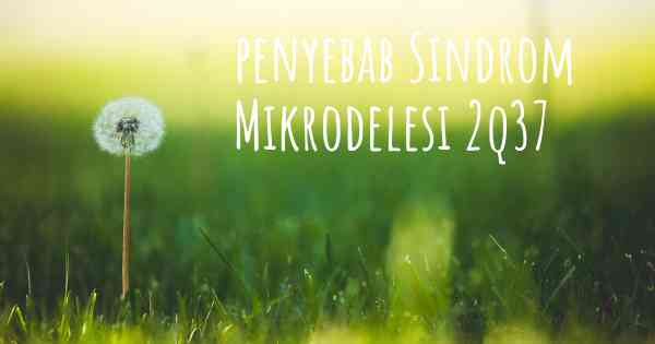 penyebab Sindrom Mikrodelesi 2q37