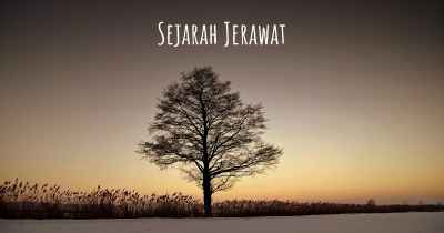 Sejarah Jerawat