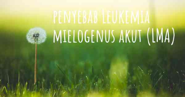 penyebab Leukemia mielogenus akut (LMA)