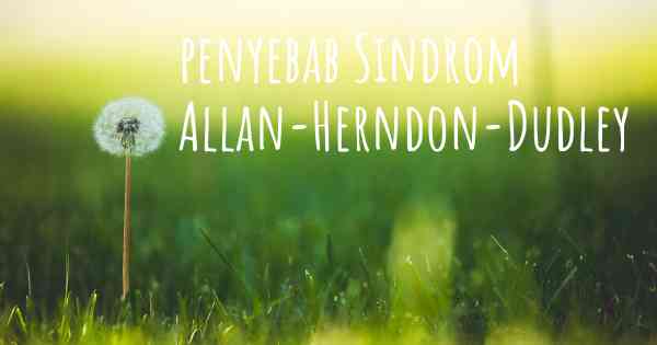penyebab Sindrom Allan-Herndon-Dudley