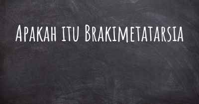 Apakah itu Brakimetatarsia