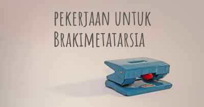 pekerjaan untuk Brakimetatarsia