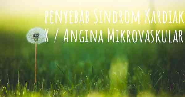 penyebab Sindrom Kardiak X / Angina Mikrovaskular