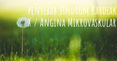 penyebab Sindrom Kardiak X / Angina Mikrovaskular