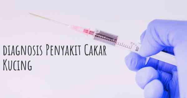 diagnosis Penyakit Cakar Kucing