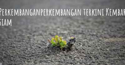 Perkembanganperkembangan terkini Kembar siam