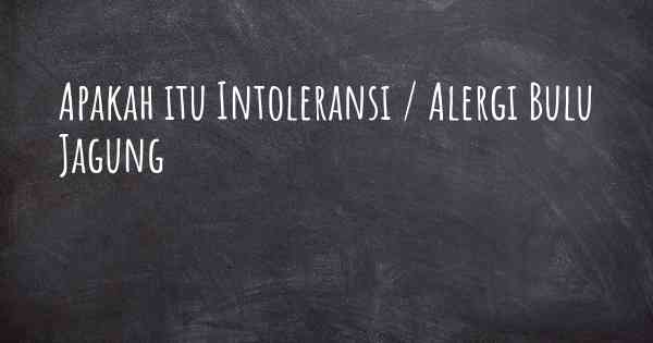 Apakah itu Intoleransi / Alergi Bulu Jagung