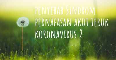 penyebab Sindrom pernafasan akut teruk koronavirus 2