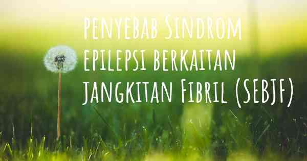 penyebab Sindrom epilepsi berkaitan jangkitan Fibril (SEBJF)