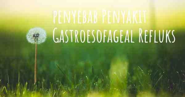 penyebab Penyakit Gastroesofageal Refluks
