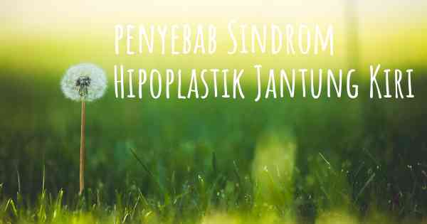 penyebab Sindrom Hipoplastik Jantung Kiri