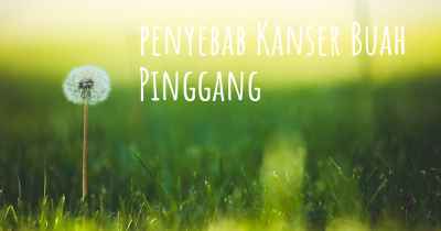 penyebab Kanser Buah Pinggang