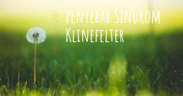 penyebab Sindrom Klinefelter