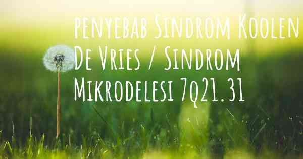 penyebab Sindrom Koolen De Vries / Sindrom Mikrodelesi 7q21.31