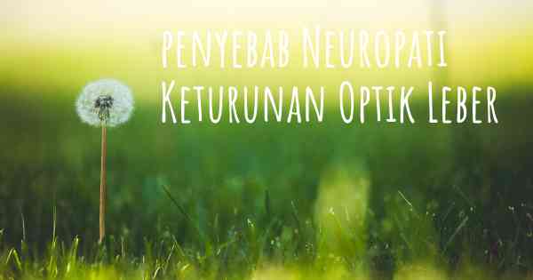 penyebab Neuropati Keturunan Optik Leber