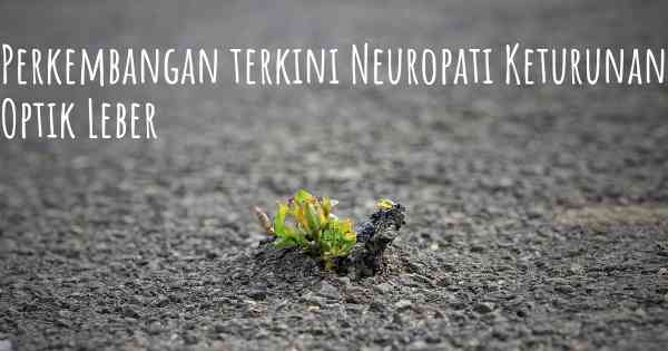 Perkembangan terkini Neuropati Keturunan Optik Leber