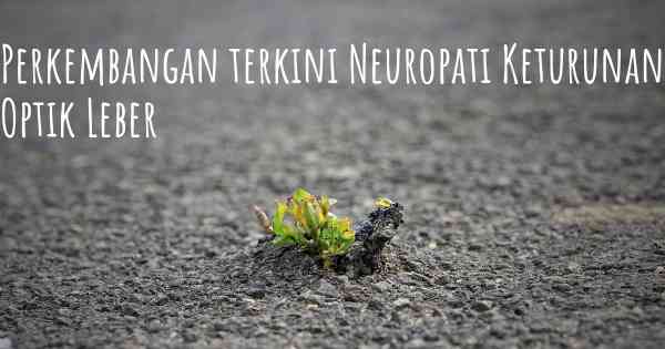 Perkembangan terkini Neuropati Keturunan Optik Leber