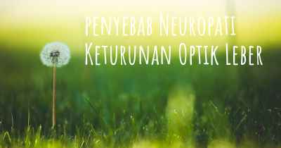 penyebab Neuropati Keturunan Optik Leber