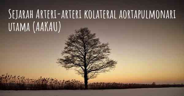 Sejarah Arteri-arteri kolateral aortapulmonari utama (AAKAU)