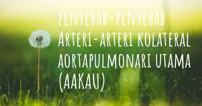 penyebab-penyebab Arteri-arteri kolateral aortapulmonari utama (AAKAU)