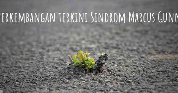 Perkembangan terkini Sindrom Marcus Gunn