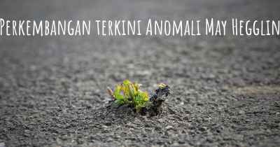 Perkembangan terkini Anomali May Hegglin