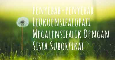 penyebab-penyebab Leukoensifalopati Megalensifalik Dengan Sista Subortikal