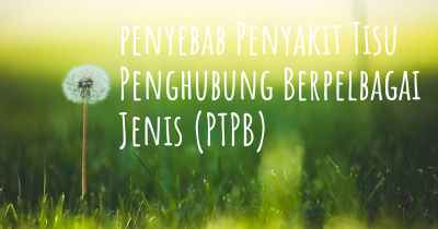 penyebab Penyakit Tisu Penghubung Berpelbagai Jenis (PTPB)