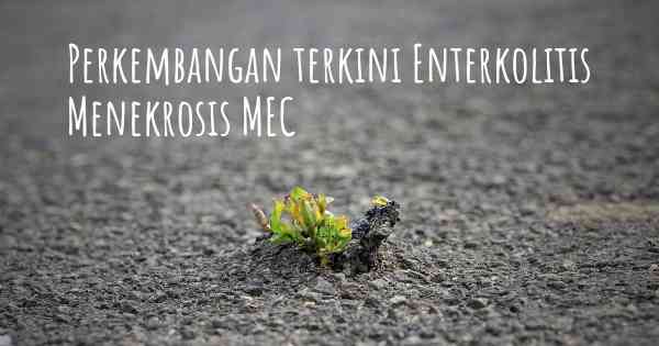 Perkembangan terkini Enterkolitis Menekrosis MEC