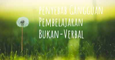 penyebab Gangguan Pembelajaran Bukan-Verbal