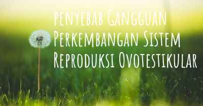 penyebab Gangguan Perkembangan Sistem Reproduksi Ovotestikular