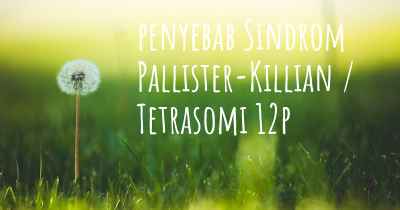 penyebab Sindrom Pallister-Killian / Tetrasomi 12p