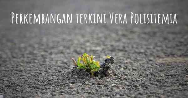 Perkembangan terkini Vera Polisitemia