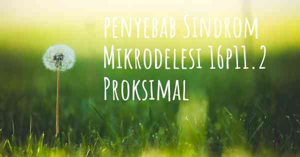 penyebab Sindrom Mikrodelesi 16p11.2 Proksimal