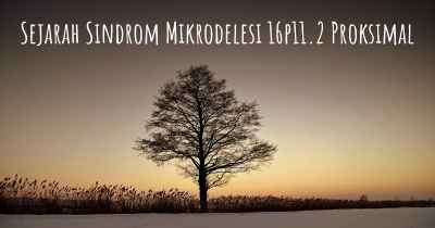 Sejarah Sindrom Mikrodelesi 16p11.2 Proksimal