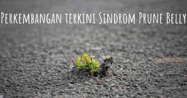Perkembangan terkini Sindrom Prune Belly
