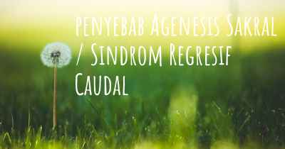 penyebab Agenesis Sakral / Sindrom Regresif Caudal